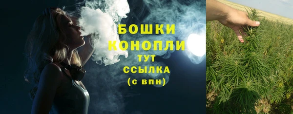 мдпв Козельск