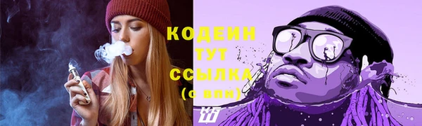 мдпв Козельск