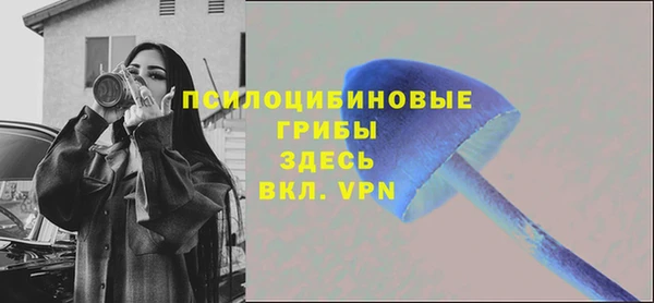 MDMA Козловка