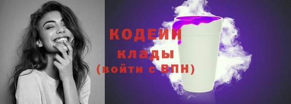 ешки Кодинск