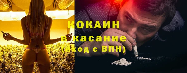 мдпв Козельск