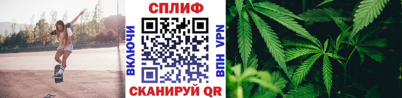 Купить  Гагарин  Бошки марихуана White Widow 
